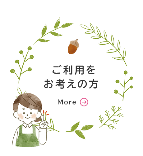 bnrhalf_service